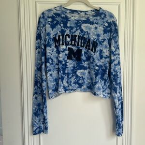 Champion University of Michigan crop top